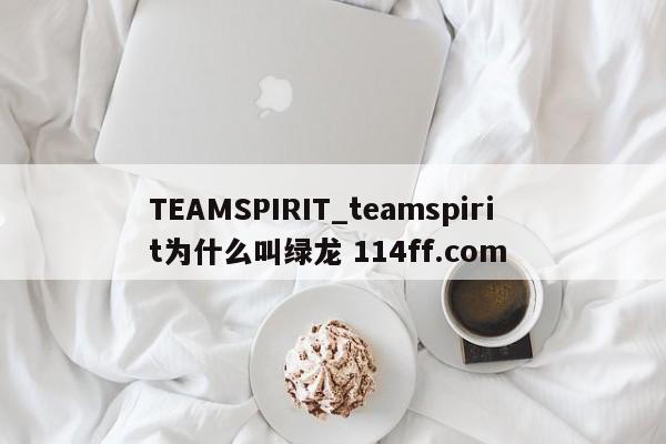 TEAMSPIRIT_teamspirit为什么叫绿龙 114ff.com 